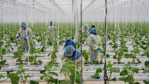 La face cachée de l'industrie alimentaire (2/2)