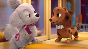 La visite guidée des Teckels / Jouer sans gigoter