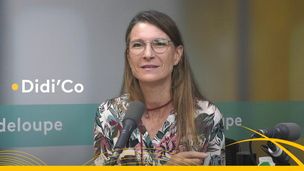 Didi'co - radiovision