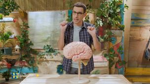 Le cerveau, notre chef d'orchestre