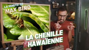Emission du 12 sept. 2025