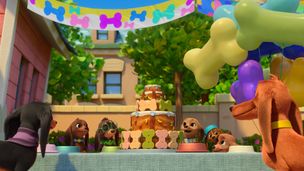 La réunion des chiots/Les cadeaux d'anniversaire