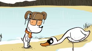 Ib aide un cygne fatigué