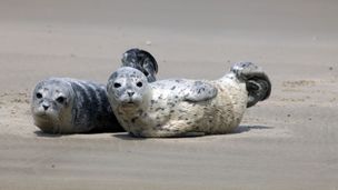 Episode du 25 avr. 2021