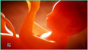 Reproduction : comment fait-on les bébés ?