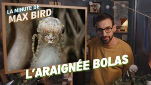 Emission du 09 mai 2026