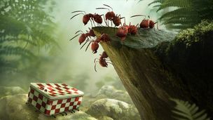 Les insectes au cinéma