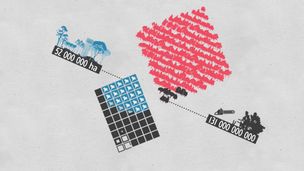 Malgré la déforestation, il n'y a pas moins d'arbres