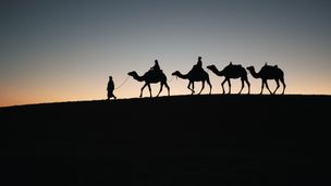 Est-il vrai que seule la soie transitait par la route de la soie ?