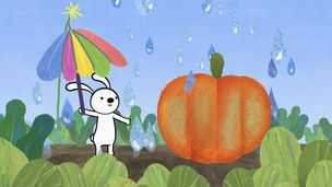 C’est un œuf / C’est une citrouille