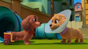 Comme au restaurant / Le super-pouvoir de la collerette