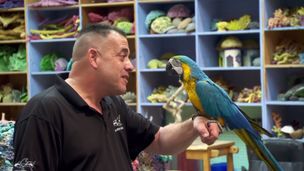 Episode 9