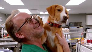 Episode 9