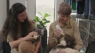 Episode 3