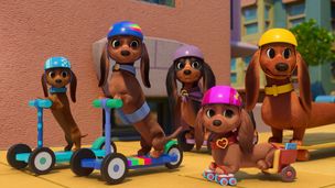 Des chiots à roulettes / La boîte à partage