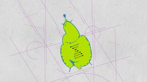 Les cellules du corps ont les mêmes gènes