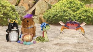 Sauvons le crabe des Caraïbes ! / Sauvons les mouflons !