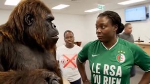 Emission du 08 janv. 2026