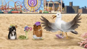 Une journée à la plage ! / Sauvons les amis de la savane !
