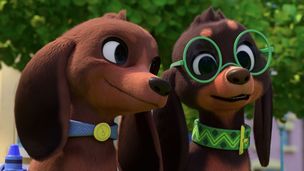 Laisse ton empreinte / La course des chiots