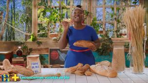 Les anciennes variété de blé - module 6.1