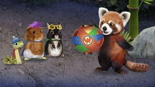 Sauvons le panda roux ! / Aidons les oiseaux chanteurs à écrire une chanson !
