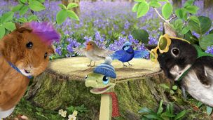 Sauvons Tate ? / Sauvons les oiseaux chanteurs !