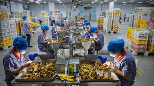 La face cachée de l'industrie alimentaire (1/2)