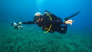 Comment écouter le chant des poissons ?