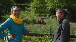 Emission du 12 févr. 2026