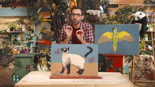 Animaux : il ne leur manque que la parole !