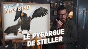 Emission du 07 août 2025