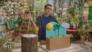 Le bois, un matériau pas comme les autres