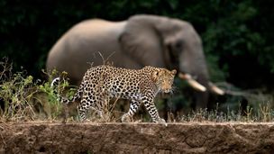 Emission du 15 mars 2026