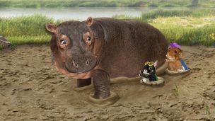 Sauvons le petit hérisson ! / Sauvons l'hippopotame !