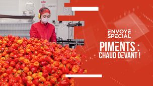 Emission du 30 oct. 2025