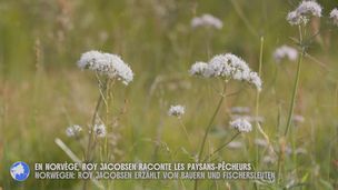 Emission du 20 mars 2026