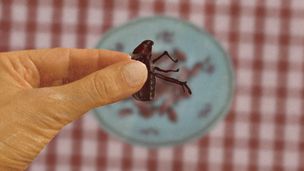 Emission du 04 mai 2025