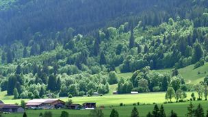 Emission du 03 févr. 2026