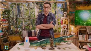 Crocodiles, alligators, c'est caïman pareil