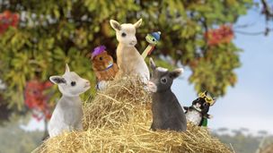 Sauvons le chevreau crieur ! / Sauvons le culpeo sauvage !