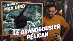 Emission du 28 juil. 2025