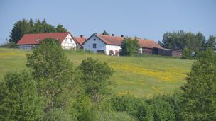 Odcinek 2