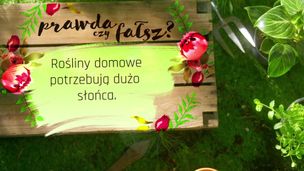 Odcinek 1