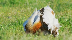 Odcinek 4
