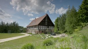 Odcinek 7