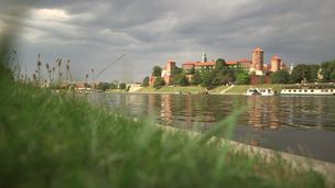 Odcinek 42