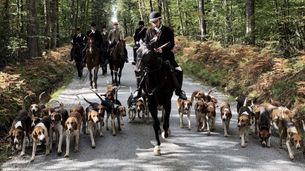 Chasse à courre, la guerre des mondes