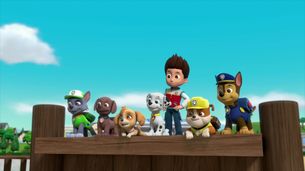 Paw Patrol, la Pat'Patrouille, Le sauvetage du Mini-panzé S07E18 : résumé