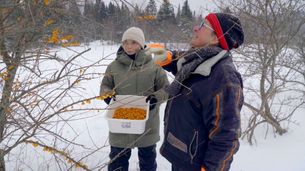 Alexia cuisine le Québec